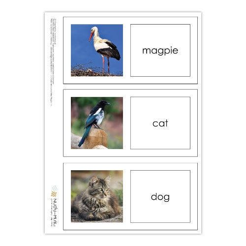 Animals - karty, domino, bingo, układanki - materiał klasa 1 - obrazek 7