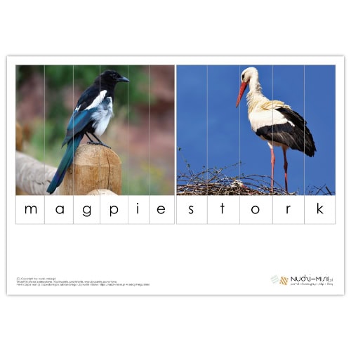 Animals - karty, domino, bingo, układanki - materiał klasa 1 - obrazek 3