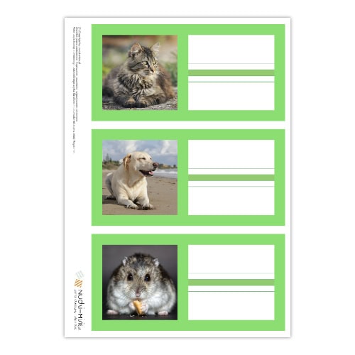 Animals - karty, domino, bingo, układanki - materiał klasa 1 - obrazek 8