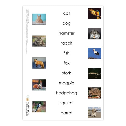 Animals - karty, domino, bingo, układanki - materiał klasa 1 - obrazek 6