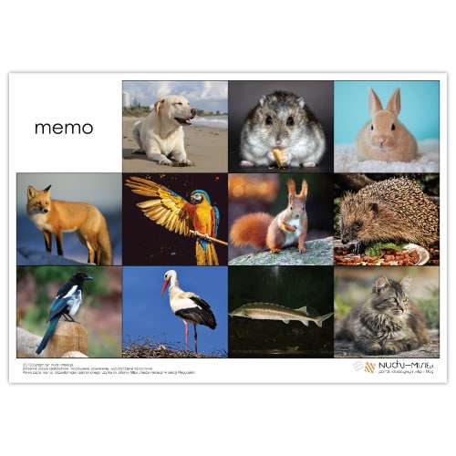 Animals - karty, domino, bingo, układanki - materiał klasa 1 - obrazek 11