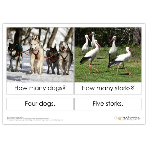 Animals - karty, domino, bingo, układanki - materiał klasa 1 - obrazek 5