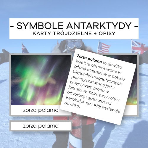 Antarktyda - symbole - karty trójdzielne 14 szt. + opisy