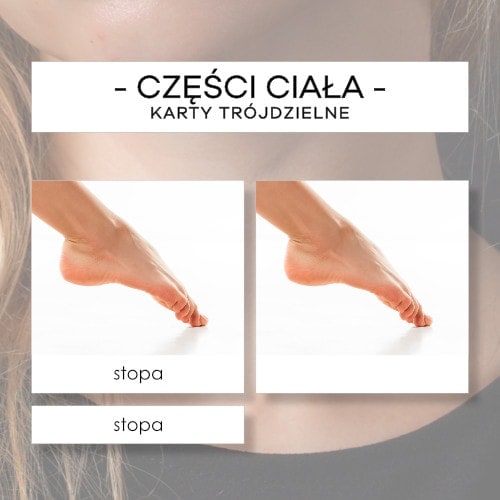 Części ciała - karty trójdzielne 29 szt.