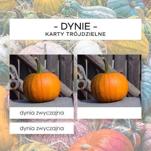 Dynie - karty trójdzielne 25 szt.