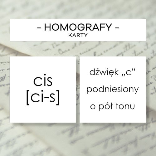 Homofony i homografy - karty 63 szt. - obrazek 2