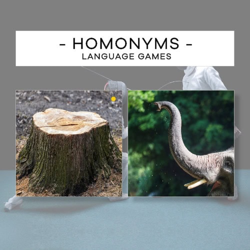 Homonimy po angielsku cz. 2 - Homonyms 2