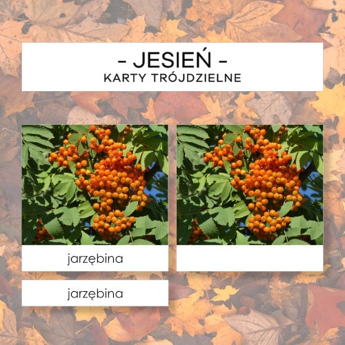 Jesień - karty trójdzielne 10 szt.