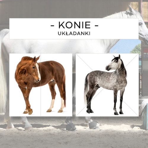 Konie - puzzle 10 szt.