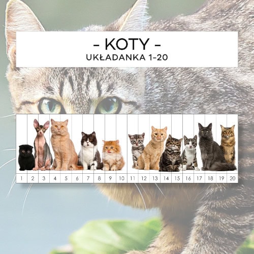 Koty 1-20 - układanka