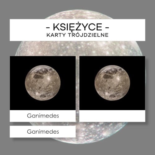 Księżyce - karty trójdzielne 25 szt.