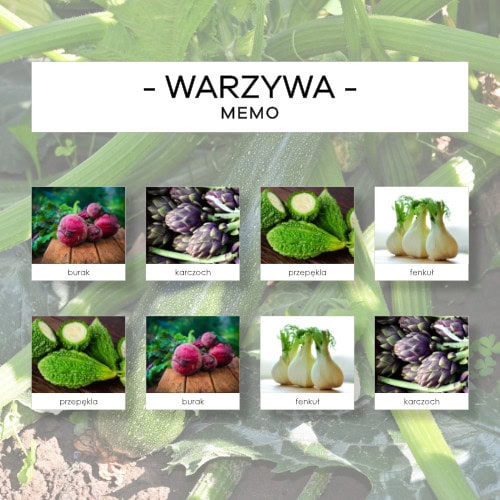 Warzywa - memo 120 szt.
