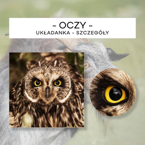Oczy - układanka - szczegóły 15 szt.