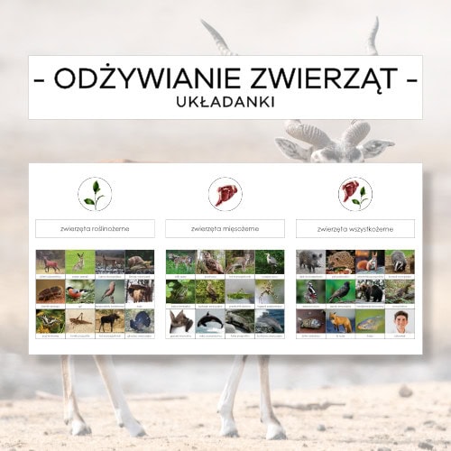 Odżywianie zwierząt - układanka