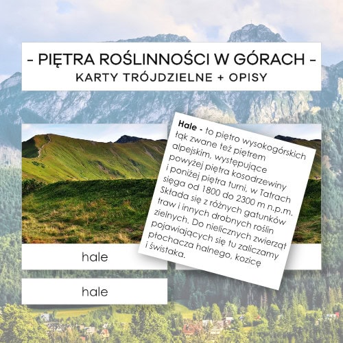 Piętra roślinności w górach - karty trójdzielne 6 szt. + opisy