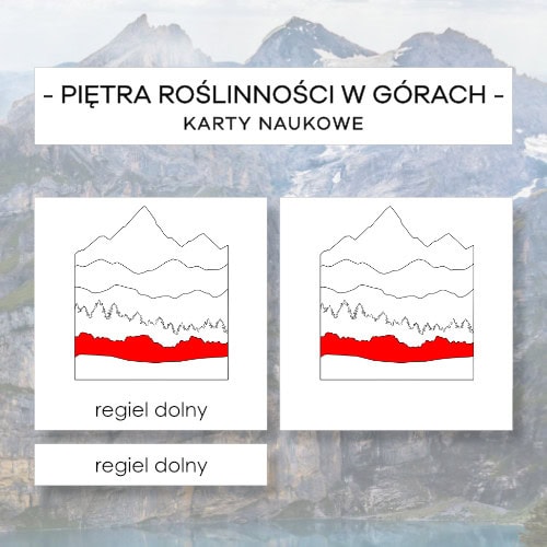 Piętra roślinności w górach - karty naukowe 7 szt.