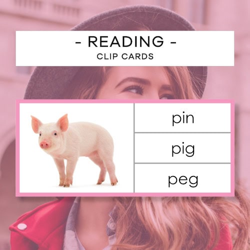 Reading - Pink Language Series 1 - clip cards