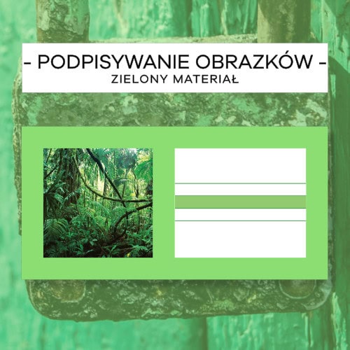 Zielony Materiał 1 - dz, dzi, dż, dź - Podpisywanie obrazków