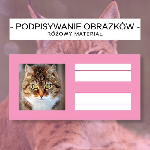 Różowy Materiał - Podpisywanie obrazków