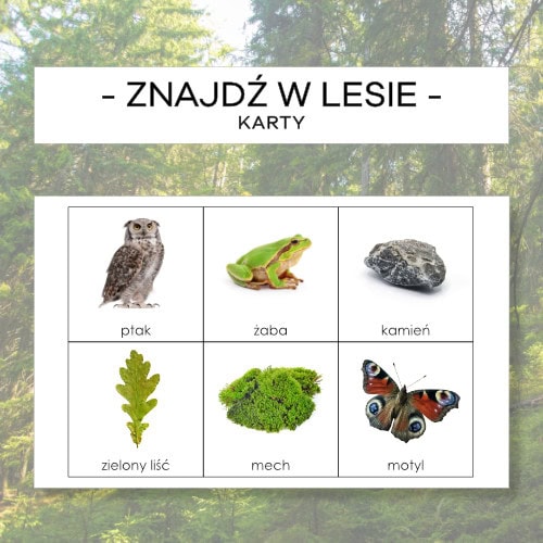 Znajdź w lesie - karty pracy