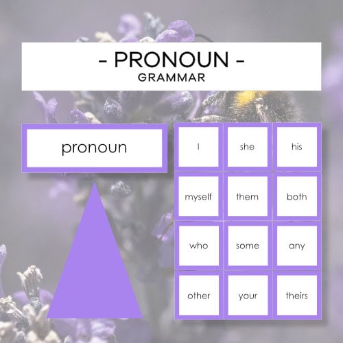 Pronoun - grammar