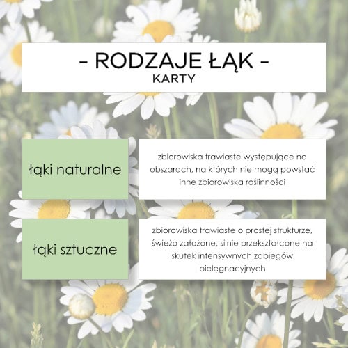 Rodzaje łąk - karty