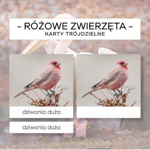 Różowe zwierzęta - karty trójdzielne 12 szt.