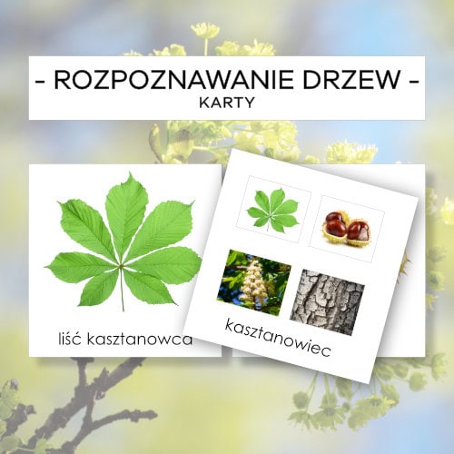 Rozpoznawanie drzew cz. 1