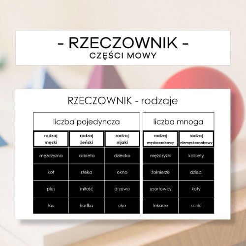 Rzeczownik - rodzaje - części mowy
