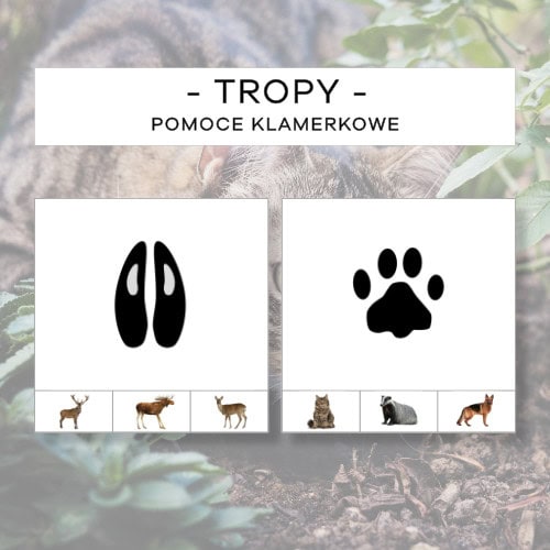 Tropy cz. 1 - pomoce klamerkowe