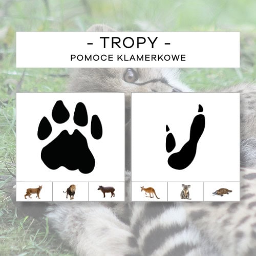 Tropy cz. 2 - pomoce klamerkowe