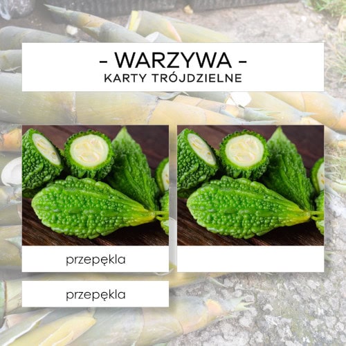 Warzywa cz. III - karty trójdzielne 20 szt.