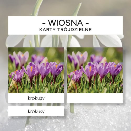 Wiosna - karty trójdzielne 10 szt.