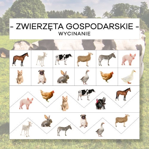 Zwierzęta gospodarskie - wycinanie