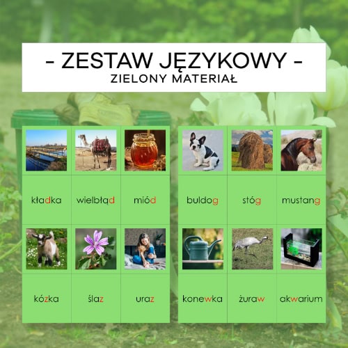 Zielony Materiał Językowy 4 - b/p, d/t, g/k, w/f, z/s - zestaw pisany, mały i wielki druk