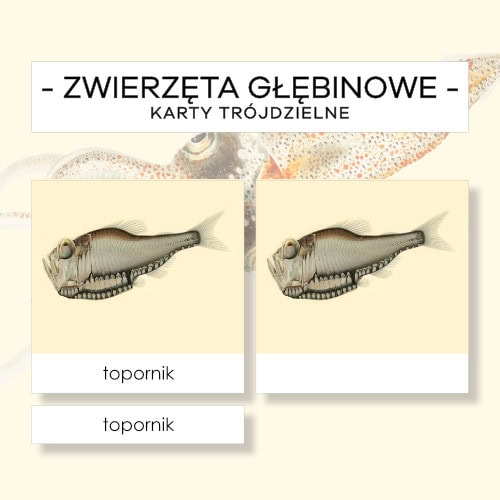 Zwierzęta głębinowe - karty trójdzielne 7 szt.