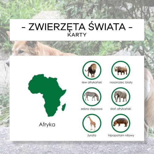 Zwierzęta świata 1 - karty + kółka do mapy