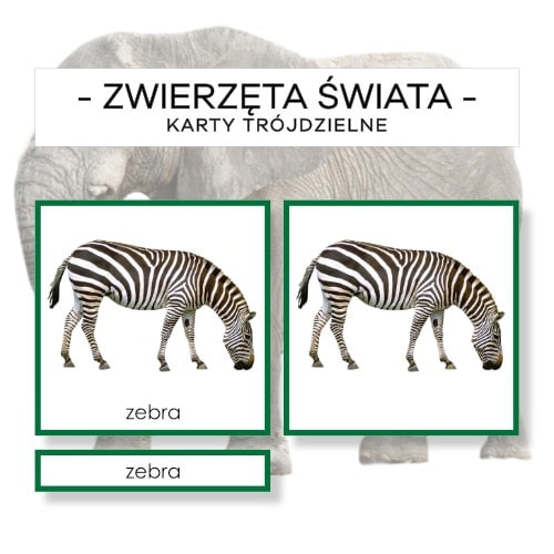 Zwierzęta Świata z białym tłem - karty trójdzielne 68 szt.