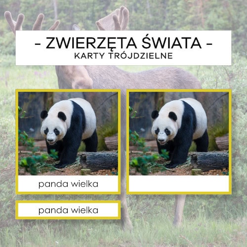 Zwierzęta Świata Safari LTD - karty trójdzielne 66 szt.