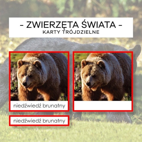 Zwierzęta Świata - karty trójdzielne 134 szt.