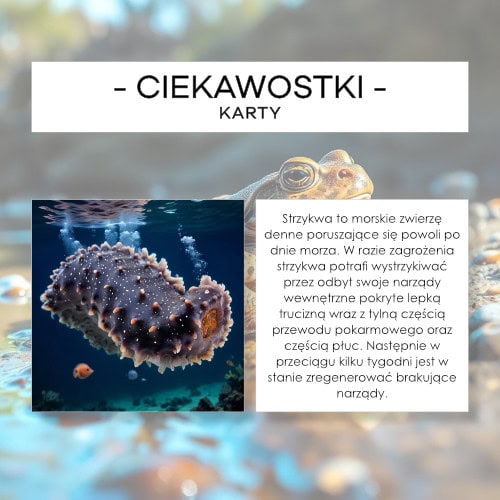 Ciekawostki cz. 2 - karty