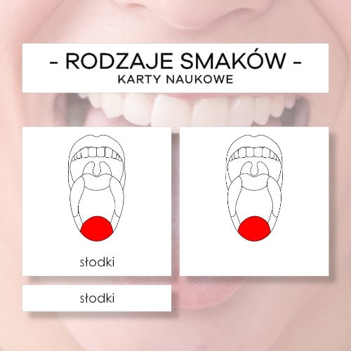 Rodzaje smaków - karty naukowe 6 szt.