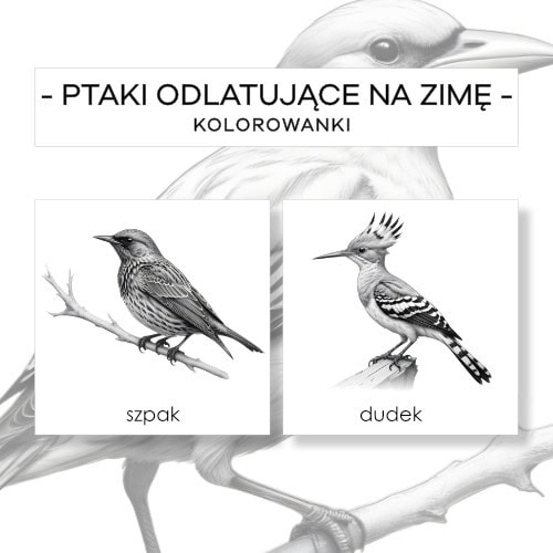 Ptaki odlatujące na zimę i przylatujące na wiosnę - kolorowanki