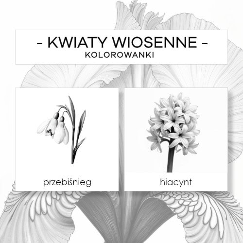 Kwiaty wiosenne - kolorowanki