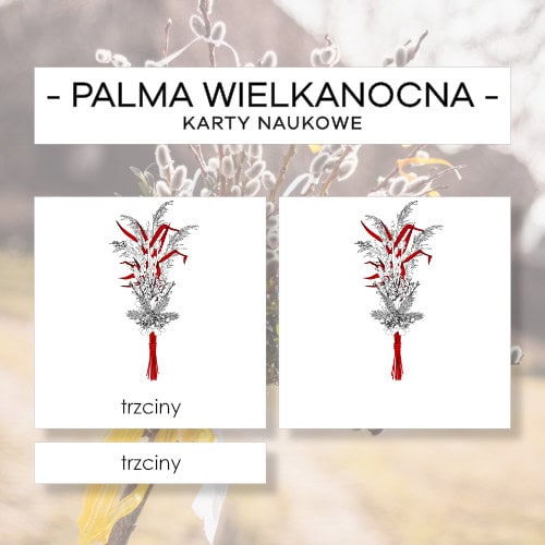 Budowa palmy wielkanocnej - karty naukowe 8 szt.