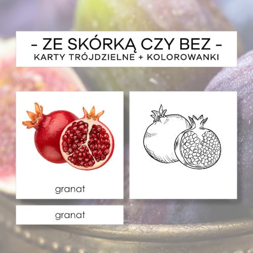 Ze skórką czy bez? - karty trójdzielne 20 szt. + kolorowanki 20 szt.