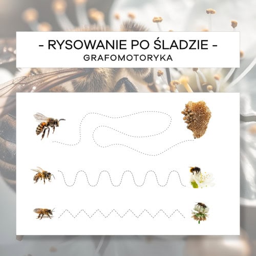 Pszczoły - grafomotoryka