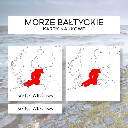 Morze Bałtyckie - karty naukowe 17 szt.