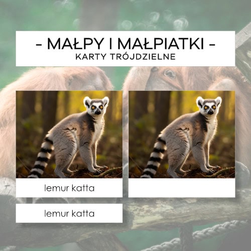 Małpy i małpiatki - karty trójdzielne 12 szt.