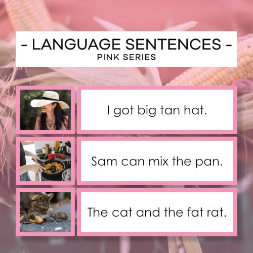 Sentences 2 - Pink Language Series